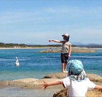 North East River Camping Ground - New South Wales Tourism 