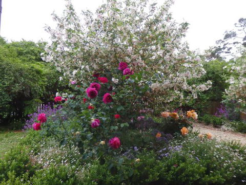 Quartz Cottage - New South Wales Tourism  8
