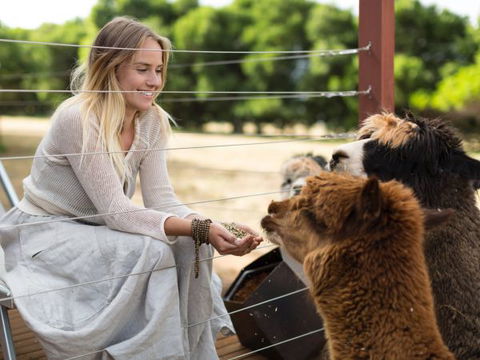 Samadhi Spa And Wellness Retreat - New South Wales Tourism  7
