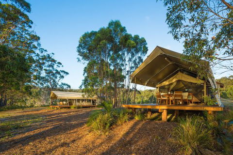 Tanja Lagoon Camp - New South Wales Tourism  0