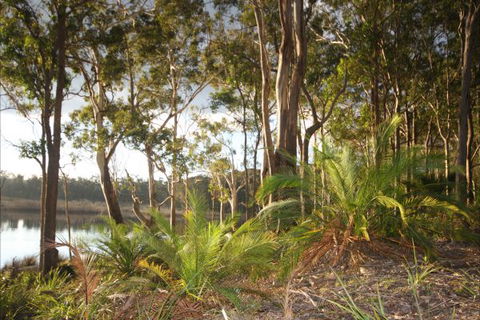 Tanja Lagoon Camp - New South Wales Tourism  7