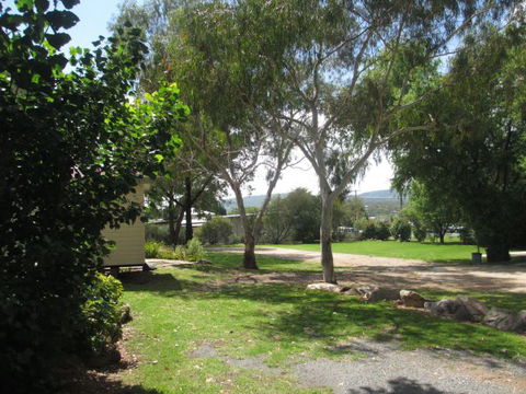 Tenterfield Lodge And Caravan Park - New South Wales Tourism  1