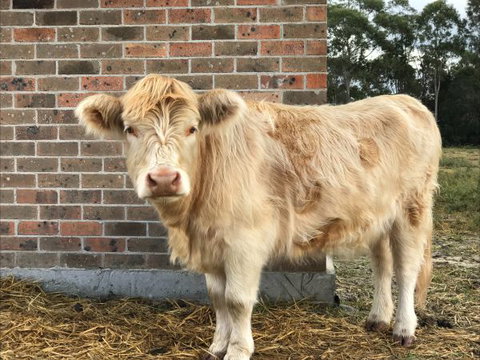 The Woods Farm - New South Wales Tourism  2