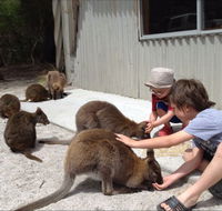 The Patriarch Wildlife Sanctuary Camping Ground - New South Wales Tourism 