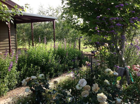 Wandana Bed And Breakfast - New South Wales Tourism  0