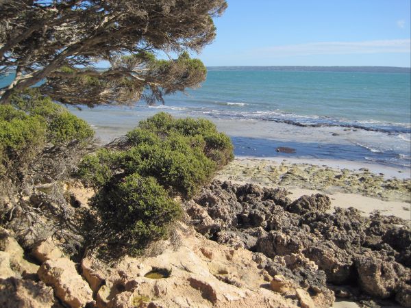 Browns Beach SA New South Wales Tourism 