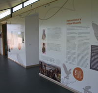 Whitestone Apartments - New South Wales Tourism 