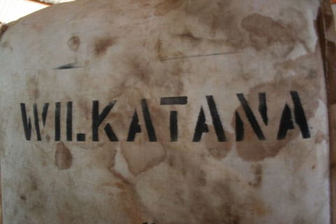Wilkatana Station - New South Wales Tourism  3