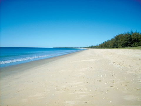 Woodgate Beach Tourist Park - New South Wales Tourism  0