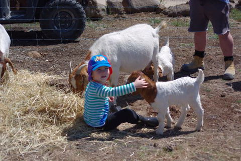 Yalooka Farm - New South Wales Tourism  3