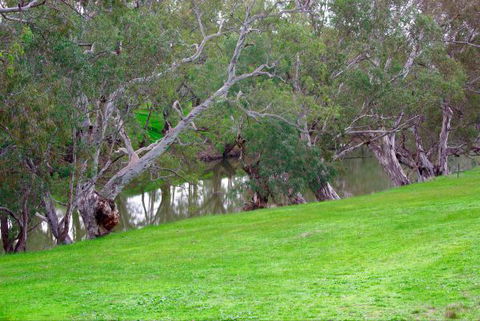 Yalooka Farm - New South Wales Tourism  4