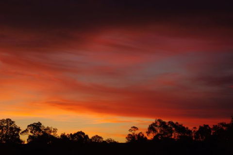 Yalooka Farm - New South Wales Tourism  5