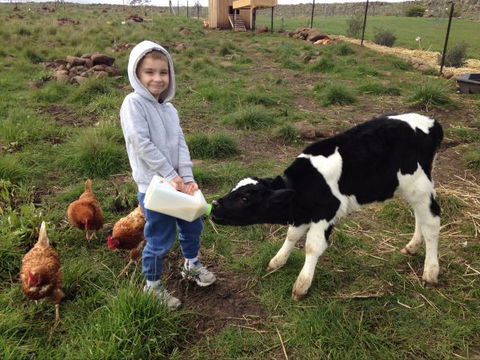 Yalooka Farm - New South Wales Tourism  8
