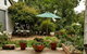 Young Garden Retreat - thumb 4