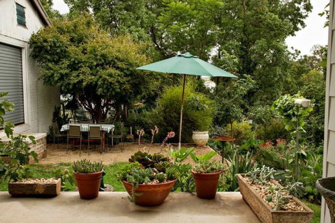 Young Garden Retreat - New South Wales Tourism  4