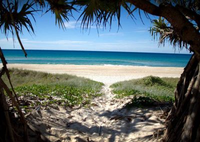 Pacific Surf - New South Wales Tourism  4