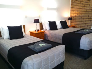 Guyra Motor Inn - New South Wales Tourism  2