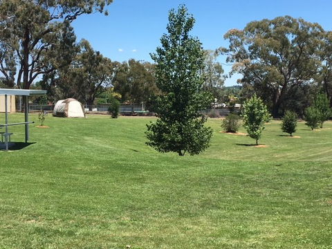 Canobolas Caravan Park - New South Wales Tourism  10