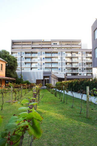 B7 Honeysuckle Apartments - New South Wales Tourism  1