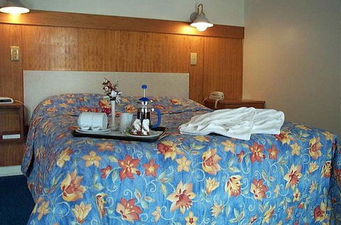 Bandicoot Motor Inn - New South Wales Tourism  3