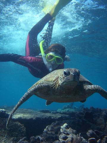 Bayview Coral Bay - New South Wales Tourism  3