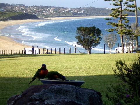Beach Cabins Merimbula - New South Wales Tourism  5