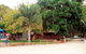 BIG4 Forbes Holiday Park - thumb 1