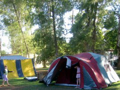 BIG4 Forbes Holiday Park - New South Wales Tourism  2