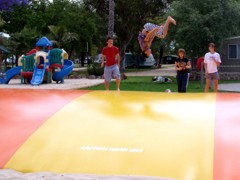 BIG4 Forbes Holiday Park - New South Wales Tourism  4