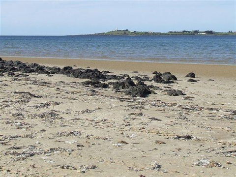 BIG4 Kelso Sands Holiday & Native Wildlife Park - New South Wales Tourism  1
