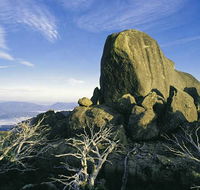 Big4 Taunton Farm Holiday Park - New South Wales Tourism 