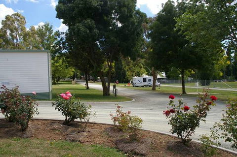 Blayney Tourist Park - New South Wales Tourism  6