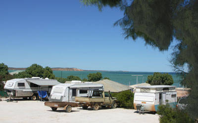 Blue Dolphin Caravan Park & Holiday Village - New South Wales Tourism  0