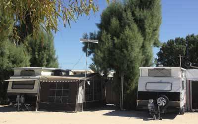 Blue Dolphin Caravan Park & Holiday Village - New South Wales Tourism  3