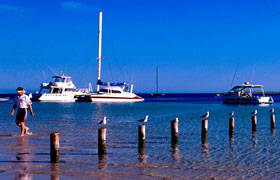 Blue Dolphin Caravan Park & Holiday Village - New South Wales Tourism  4