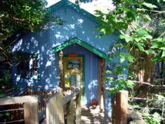Blue Poles Cafe, Gallery & B&B - New South Wales Tourism  0