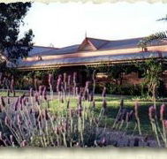 Bluebush Estate - New South Wales Tourism 