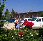 Boerbuck Country Motel  Host Farm - New South Wales Tourism 