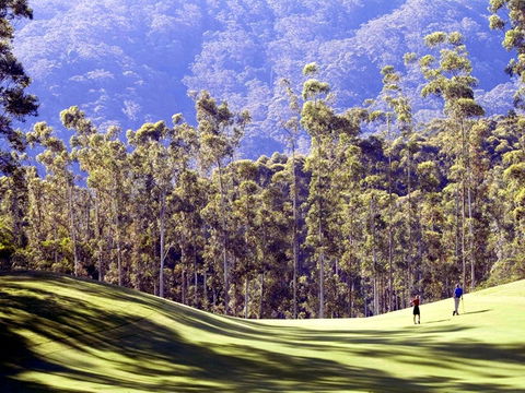 Bonville Golf Resort - New South Wales Tourism  4