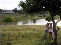 Branell Homestead Bed & Breakfast - New South Wales Tourism  4