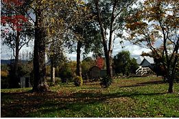 Buffalo Motel And Country Retreat - New South Wales Tourism  8