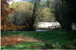 Buffalo Motel And Country Retreat - New South Wales Tourism  9