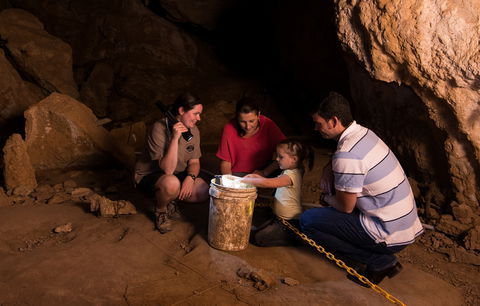 Capricorn Caves - New South Wales Tourism  1