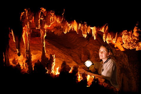 Capricorn Caves - New South Wales Tourism  5
