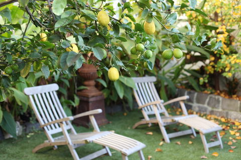 Captains Retreat B&B - New South Wales Tourism  1