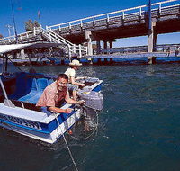 Comfort Inn Mandurah - New South Wales Tourism 