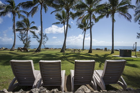 Comfort Resort Blue Pacific - New South Wales Tourism  0