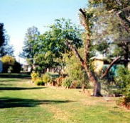 Condamine River Caravan Park - New South Wales Tourism 