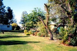 Condamine River Caravan Park - New South Wales Tourism  0