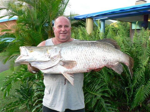 Conway Beach Tourist Park Whitsunday - New South Wales Tourism  4